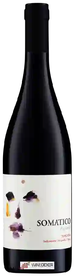 Weingut Podere Il Castellaccio - Somatico Weingut Podere Il Castellaccio - Somatico
