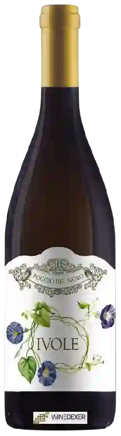 Weingut Poggio del Moro - Ivole Bianco Toscana