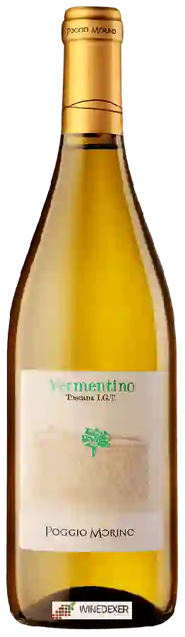 Weingut Poggio Morino - Vermentino Weingut Poggio Morino - Vermentino