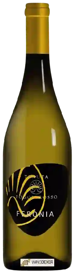 Weingut Tenuta Poggiorosso - Feronia Weingut Tenuta Poggiorosso - Feronia