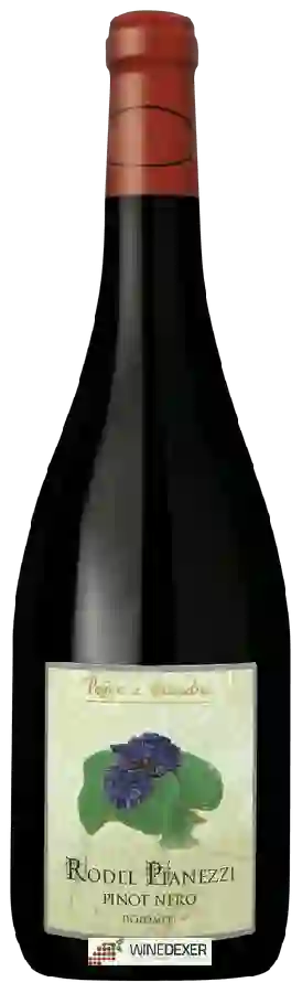Weingut Pojer e Sandri - Rodel Pianezzi Pinot Nero Dolomiti Weingut Pojer e Sandri - Rodel Pianezzi Pinot Nero Dolomiti