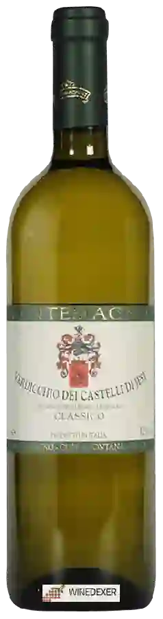 Weingut Pontemagno - Verdicchio dei Castelli di Jesi Classico Weingut Pontemagno - Verdicchio dei Castelli di Jesi Classico