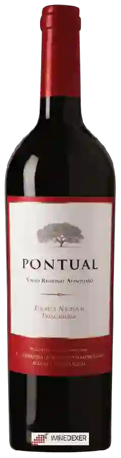 Weingut Pontual - Tinto