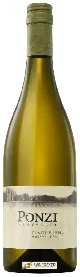 Weingut Ponzi - Pinot Blanc
