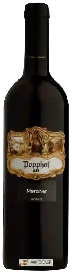 Weingut Popphof - Meraner Weingut Popphof - Meraner
