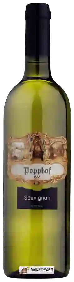 Weingut Popphof - Sauvignon