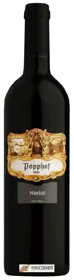 Weingut Popphof - Merlot