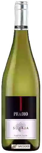 Weingut Pradio - Sobaja Sauvignon