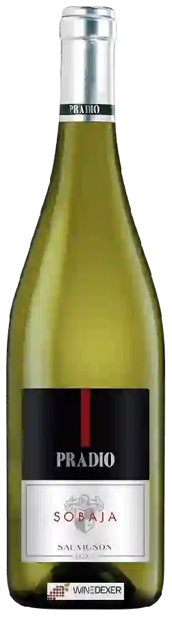 Weingut Pradio - Sobaja Sauvignon Weingut Pradio - Sobaja Sauvignon