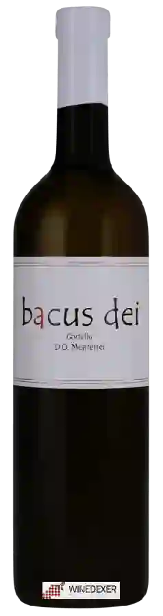 Weingut Prado Alen - Bacus dei Godello Weingut Prado Alen - Bacus dei Godello