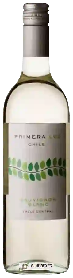 Weingut Primera Luz - Sauvignon Blanc
