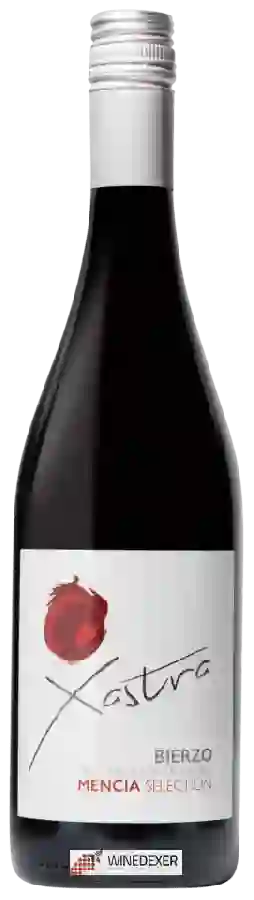 Weingut Prior de Pantón - Xastra Mencía Selection Weingut Prior de Pantón - Xastra Mencía Selection