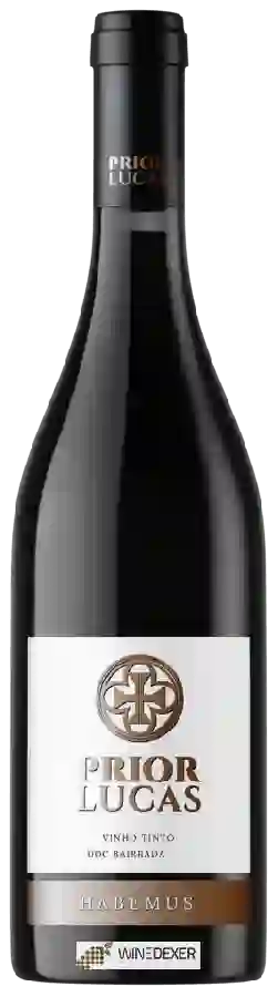 Weingut Prior Lucas - Habemus Tinto Weingut Prior Lucas - Habemus Tinto