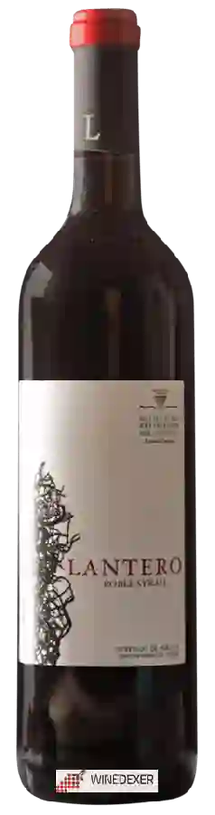 Weingut Privilegio del Condado - Lantero Roble Syrah