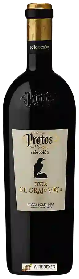 Weingut Protos - Selección Finca el Grajo Viejo