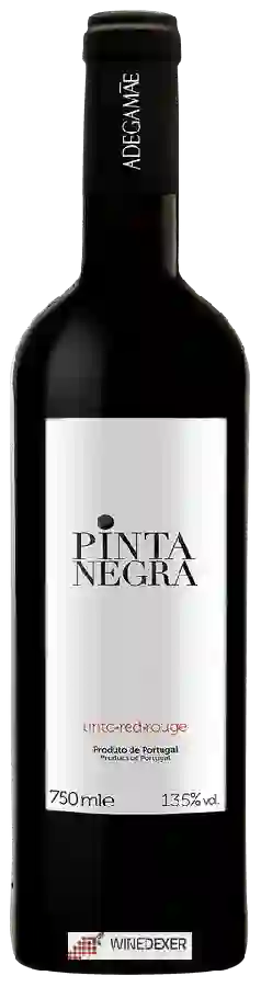 Weingut AdegaMãe - Pinta Negra Tinto Weingut AdegaMãe - Pinta Negra Tinto