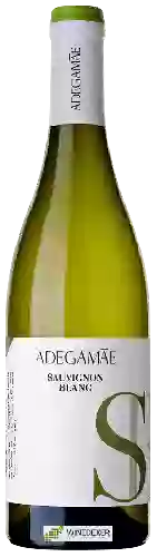 Weingut AdegaMãe - Sauvignon Blanc