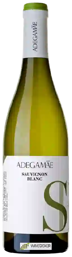 Weingut AdegaMãe - Sauvignon Blanc Weingut AdegaMãe - Sauvignon Blanc