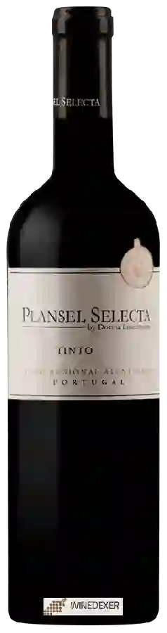 Weingut Quinta da Plansel - Plansel Selecta Weingut Quinta da Plansel - Plansel Selecta