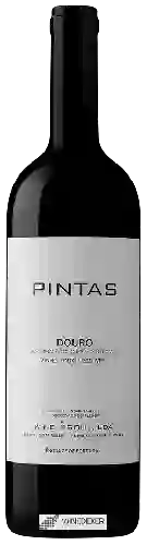 Weingut Wine & Soul - Douro Pintas Tinto
