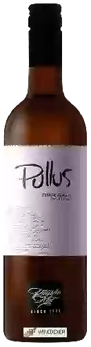 Weingut Pullus - Pinot Grigio Suho
