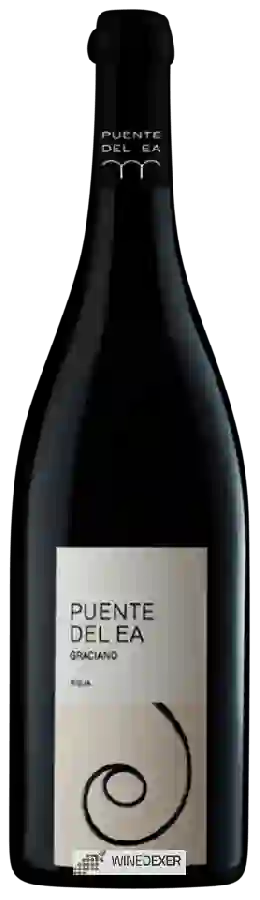 Weingut Puente del Ea - Vino de Autor Graciano