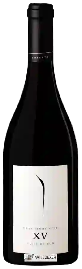 Weingut Pulenta Estate - Gran Pinot Noir (XV)