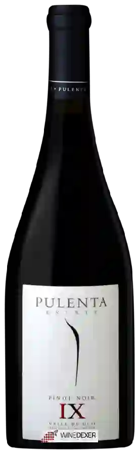 Weingut Pulenta Estate - Pinot Noir (IX) Weingut Pulenta Estate - Pinot Noir (IX)