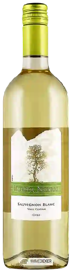 Weingut Punta Nogal - Sauvignon Blanc