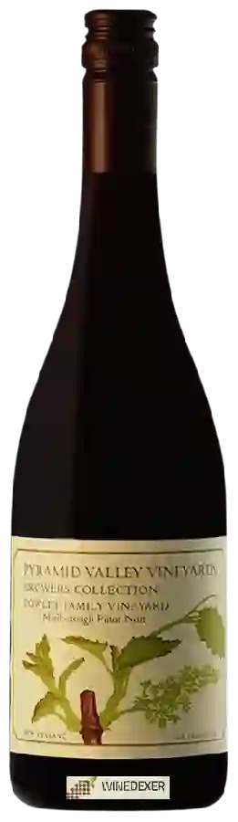 Weingut Pyramid Valley Vineyards - Growers Collection Cowley Family Vineyard Pinot Noir Weingut Pyramid Valley Vineyards - Growers Collection Cowley Family Vineyard Pinot Noir