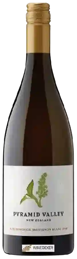 Weingut Pyramid Valley Vineyards - Sauvignon Blanc Weingut Pyramid Valley Vineyards - Sauvignon Blanc