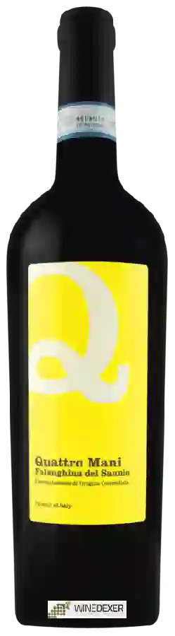 Weingut Quattro Mani - Falanghina del Sannio
