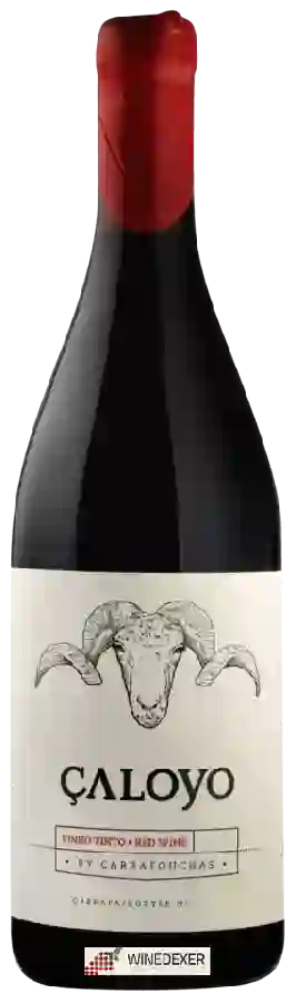 Weingut Quinta das Carrafouchas - Çaloyo Tinto Weingut Quinta das Carrafouchas - Çaloyo Tinto