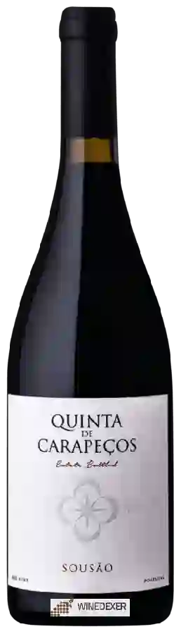 Weingut Quinta de Carapecos - Sousão Weingut Quinta de Carapecos - Sousão