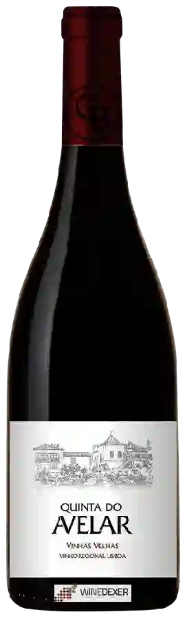 Weingut Quinta do Avelar - Vinhas Velhas Weingut Quinta do Avelar - Vinhas Velhas