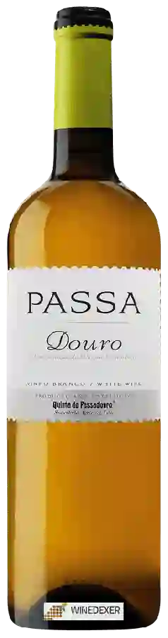 Weingut Quinta do Passadouro - Passa Branco