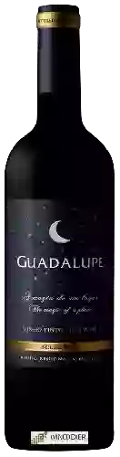 Weingut Quinta do Quetzal - Guadalupe Tinto