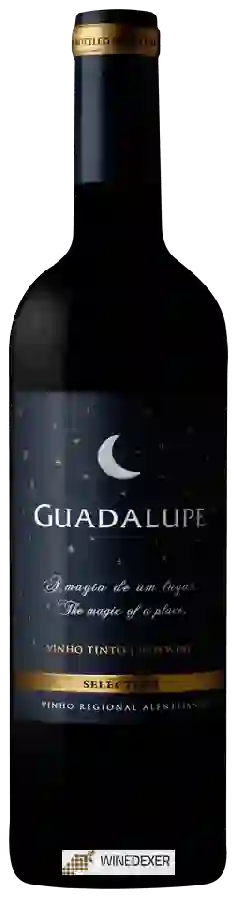 Weingut Quinta do Quetzal - Guadalupe Tinto