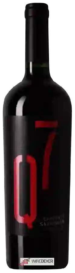 Weingut Quinta Siete - Q7 - Cabernet Sauvignon Weingut Quinta Siete - Q7 - Cabernet Sauvignon