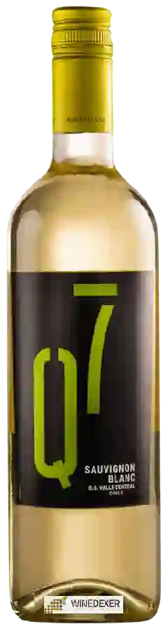 Weingut Quinta Siete - Q7 - Sauvignon Blanc
