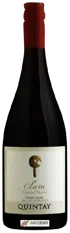 Weingut Quintay - Clava Coastal Reserve Pinot Noir Weingut Quintay - Clava Coastal Reserve Pinot Noir