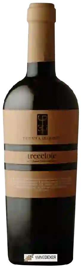 Weingut Tenuta le Quinte - Trecciole