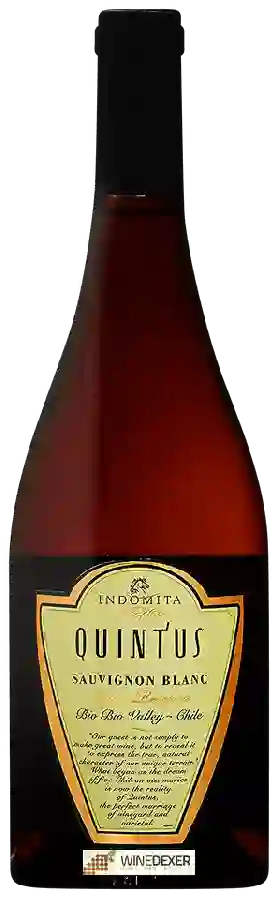 Weingut Quintus - Gran Reserva Sauvignon Blanc Weingut Quintus - Gran Reserva Sauvignon Blanc