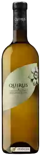 Weingut Quirus - Tempranillo Blanco