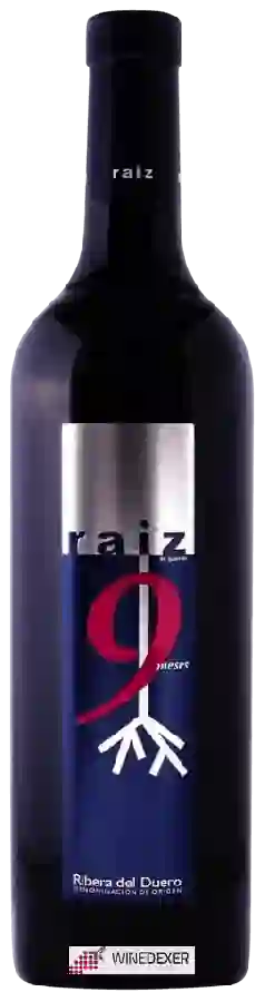Weingut Raíz de Guzmán - 9 Meses Weingut Raíz de Guzmán - 9 Meses