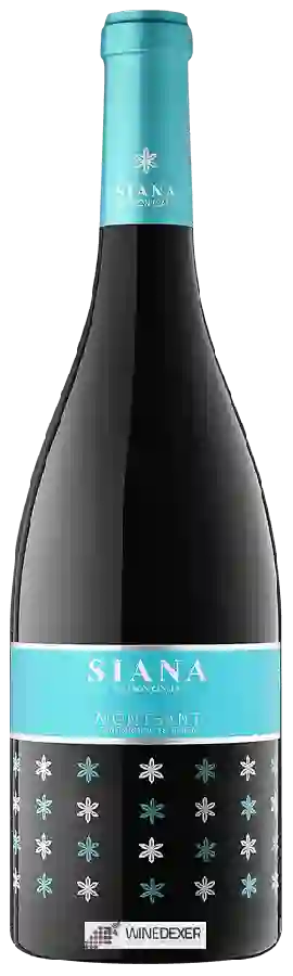 Weingut Canals Canals - Siana Weingut Canals Canals - Siana