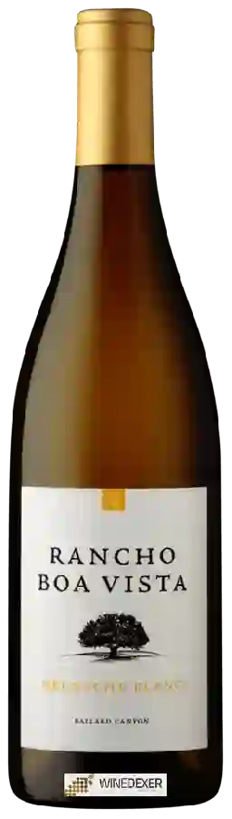 Weingut Rancho Boa Vista - Grenache Blanc Weingut Rancho Boa Vista - Grenache Blanc