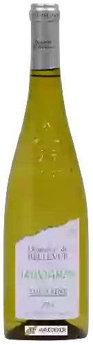 Weingut Raphael Midoir - Domaine de Bellevue Sauvignon Touraine