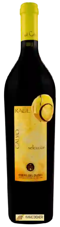 Weingut Raul Calvo Beltran - Selección