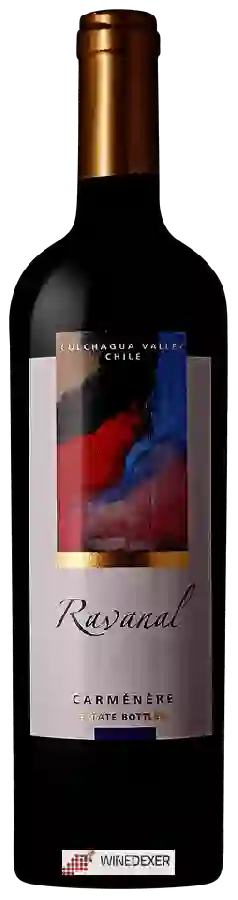 Weingut Ravanal - Carmenère Weingut Ravanal - Carmenère